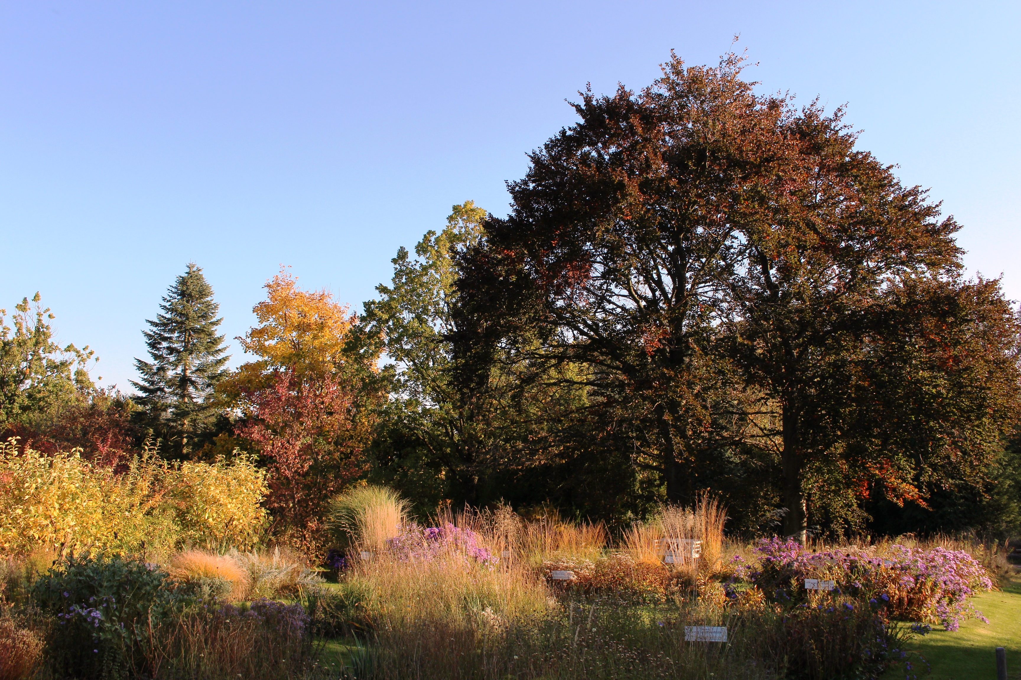 Schaugarten_Herbst